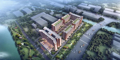 東莞再添創新引擎 超20萬平米高新科技產業園正式動工，聚焦前沿技術開發