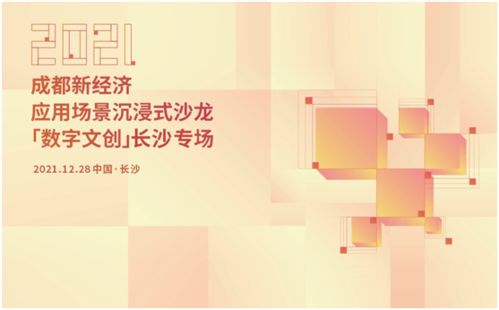 蓉湘共話數字文創 成都新經濟應用場景沉浸式沙龍落地長沙